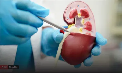 Une greffe de vessie réalisée avec succès aux Etats-Unis, une première mondiale