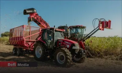 Campagne sucrière 2025 : une production estimée à 220 000 tonnes 