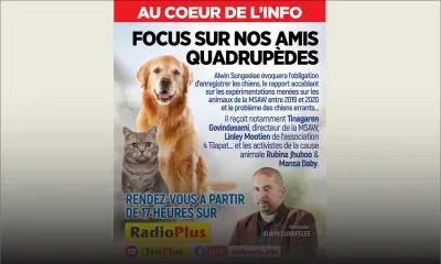 Au Coeur de l’Info : obligation d’enregistrer les chiens, zoom sur nos amis quadrupèdes