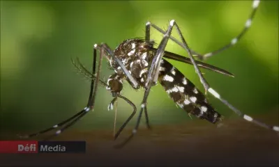 Cuba: 21 enfants et adolescents sont décédés du chikungunya et de la dengue