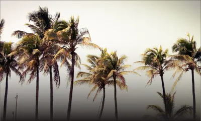 Prévisions météo du 3 septembre : rafales de vent à 50 km/h dans certains endroits, sorties en haute mer déconseillées