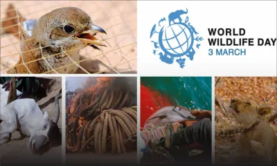 World Wildlife Day: Listening to young voices