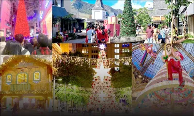 Sous les sapins du globe