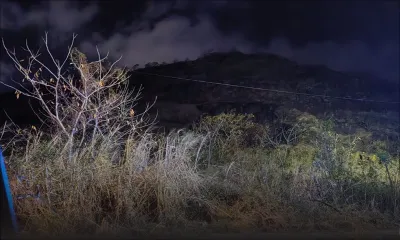 Incendie maîtrisé à Chapman Hill, Coromandel 