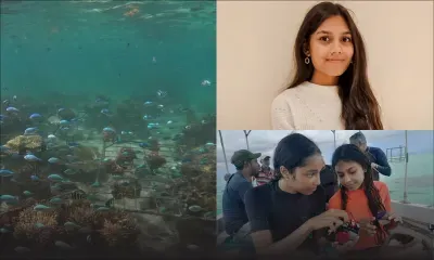 Yosheta Surroop d’EcoMode Society : «Grâce à Huawei, nous surveillons les pépinières à distance pour réagir rapidement contre les prédateurs»