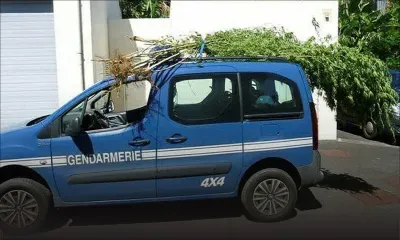 Rs 51 M de gandia saisis à La Réunion : un fournisseur arrêté à son retour de Maurice avec Rs 1 million en euros