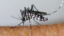 Zika : un cas détecté à l’île de La Réunion