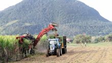 Secteur sucre : les petits planteurs menacent de descendre dans la rue