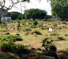 Acte malveillant allégué: elles obtiennent l’exhumation du corps de leur mère