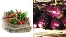 Au marché : la bringelle à Rs 100, le petit piment à Rs 400 le demi-kilo
