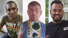 Lutte contre la drogue : trois dealers de cannabis sous les verrous