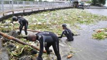 Le GIPM nettoie la rivière de Poste-de-Flacq
