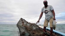 Métier - Ton Chole : «La pêche aux casiers est une pêche responsable»