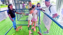 Adoption animale : la MSAW et Zoomania clôturent l’année à Bagatelle