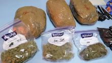 Pointe-aux-Biches : deux kilos de cannabis saisis sur Axel Crétin