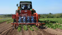 Les petits planteurs réclament des tracteurs à un prix subventionné