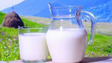 Lait frais : la production locale plafonne autour des 2 millions de litres