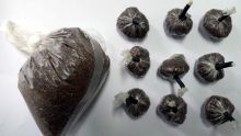 À Roche-Bois : Rs 900 000 de drogue synthétique saisies chez un dealer présumé
