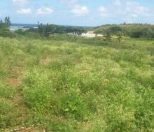 Terres de l’État: le Conseil des ministres tranchera sur les demandes