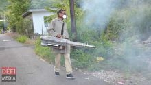 Dengue : une dizaine de personnes infectées à Roche-Bois