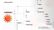 COVID-19 - Forte présence de nouveaux sous-variants : la plus grande vigilance prévue