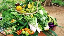 Bio crops : Increasing Demand in Spite of High Price