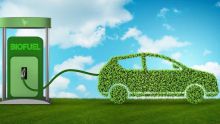 Transition énergétique - Biofuel : une opportunité sous-estimée depuis 20 ans