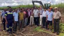Face au manque de main-d’œuvre dans l’industrie sucrière : un nouveau ‘cane cutter’ pour les planteurs