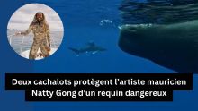 Deux cachalots protègent l’artiste mauricien Natty Gong d’un requin dangereux