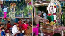 Célébration du Thaipoosam Cavadee : la ferveur en effervescence dans les kovils à Quatre-Bornes
