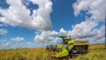 Coopération Chine-Afrique :  les machines agricoles chinoises contribuent à la modernisation de l'agriculture africaine 