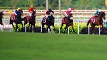 Singapour met fin à près de deux siècles de courses hippiques