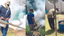 Opportunités d’affaires : la dengue prolifère, la demande pour des fumigations aussi 