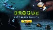 [Grand Format] Drogue : une traque sans fin