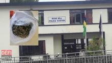 Opération de l’Adsu de Rose-Hill : saisie de drogues et d’une bombe lacrymogène, quatre arrestations