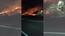 Incendie à Chapman Hill, Coromandel