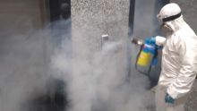 Services de fumigation : demandes en hausse