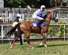  Maiden Cup : bras de fer Lafraisière/Sewdyal 