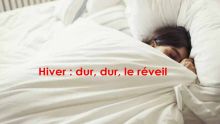 Hiver : dur, dur, le réveil !
