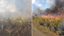 Trois-Mamelles : un champ de cannes ravagé par les flammes