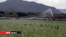 Irrigation des champs de canne à sucre : les restrictions temporairement levées