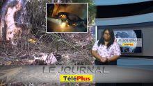 Le JT – « Cette route est une tueuse » - adieux émouvants à Adarsh et Kushal