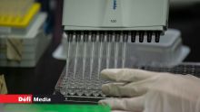 Covid-19 : 295 patients guéris à Maurice à ce jour