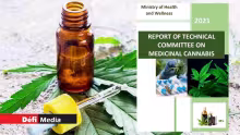 [Document] Cannabis médical : découvrez le rapport du comité technique