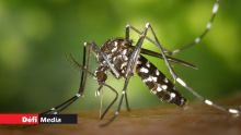 Santé - Chikungunya et dengue : une aggravation redoutée