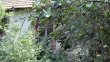 Terrain voisin laissé à l’abandon : les galères d’une Portlouisienne de 85 ans