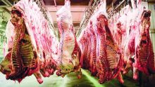 L’abattoir central sera construit à Wooton