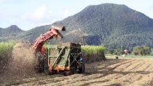 Industrie cannière - Mauritius Sugar Ltd : proposition de la dernière chance 