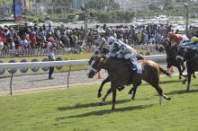  Hippisme : Nordic Warrior dompte les favoris