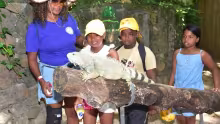 Des enfants à la rencontre des reptiles à La Vanille Nature Park